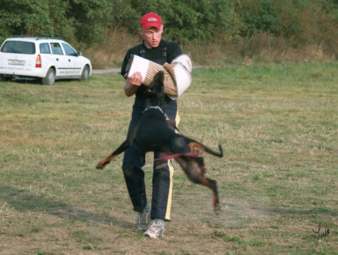 Training in Prague - defence - 10/2006